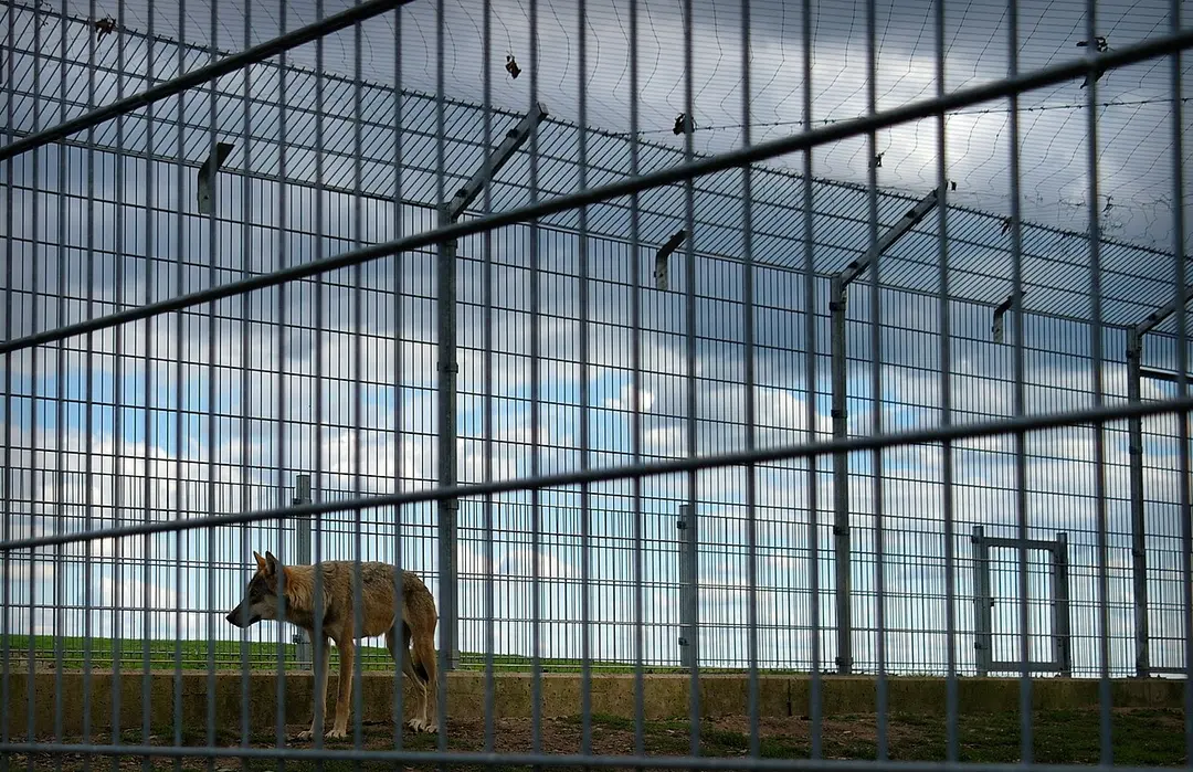 Wild- und Freizeitpark Klotten