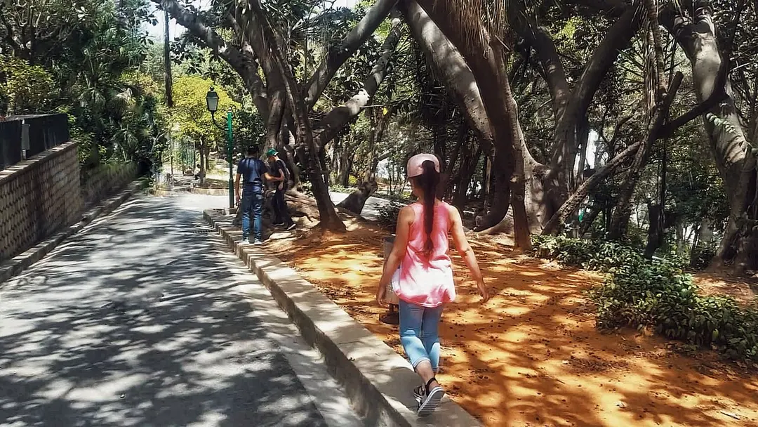 Jardin de Beyrouth