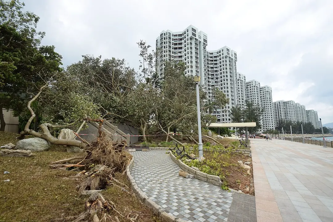 Heng Fa Chuen Playground