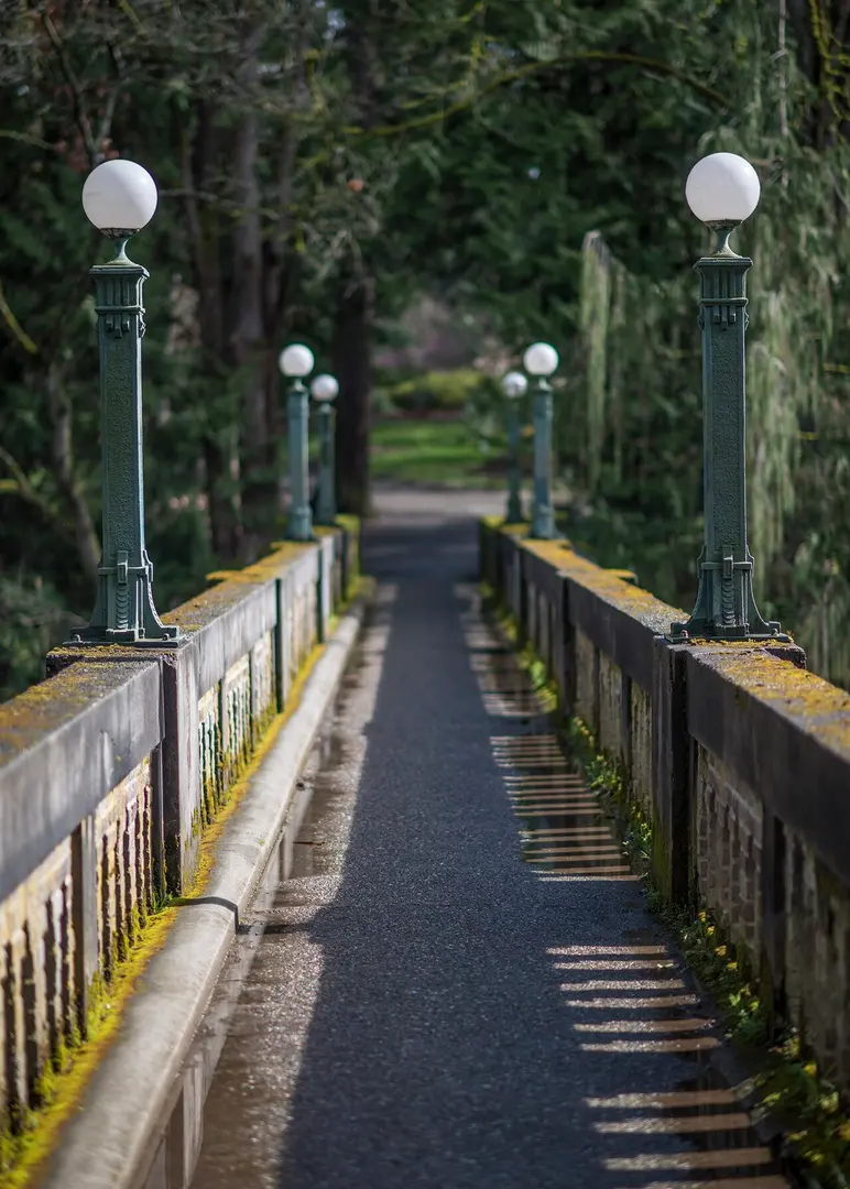 Arboretum Sewer Trestle