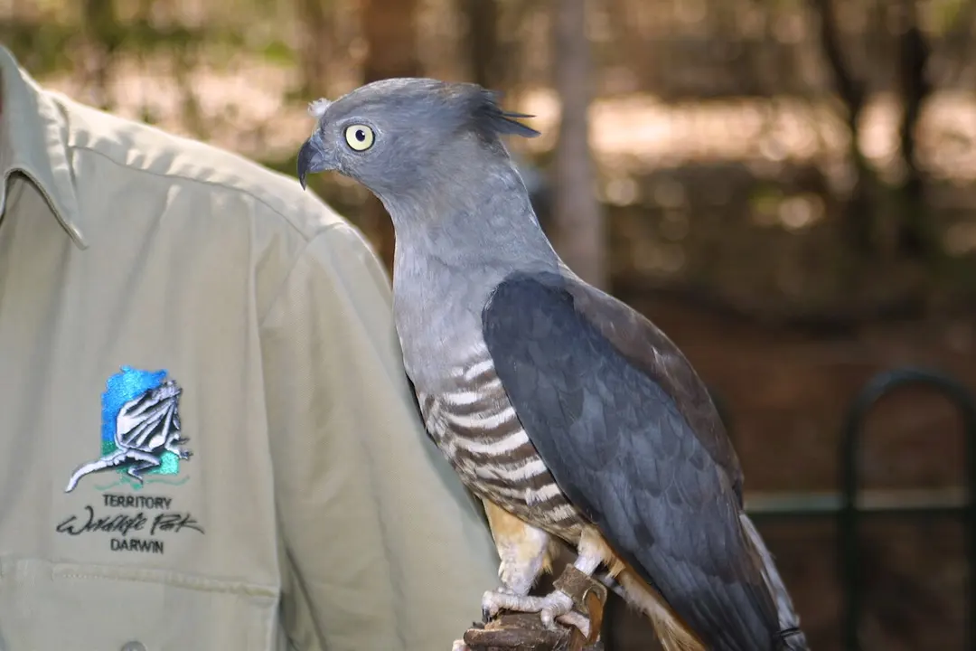 Territory Wildlife Park