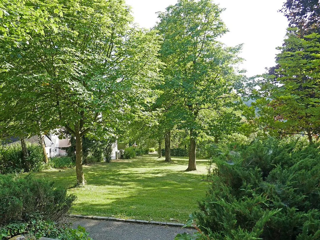 Schubert-Park