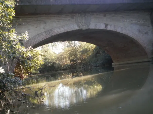 Route de Bayonne