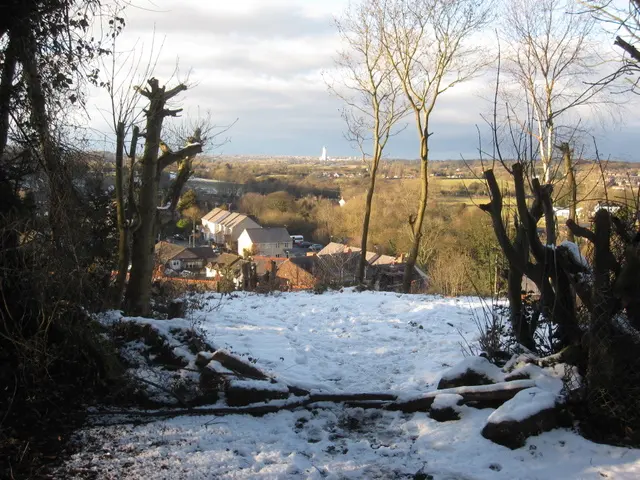 Caergwrle Castle