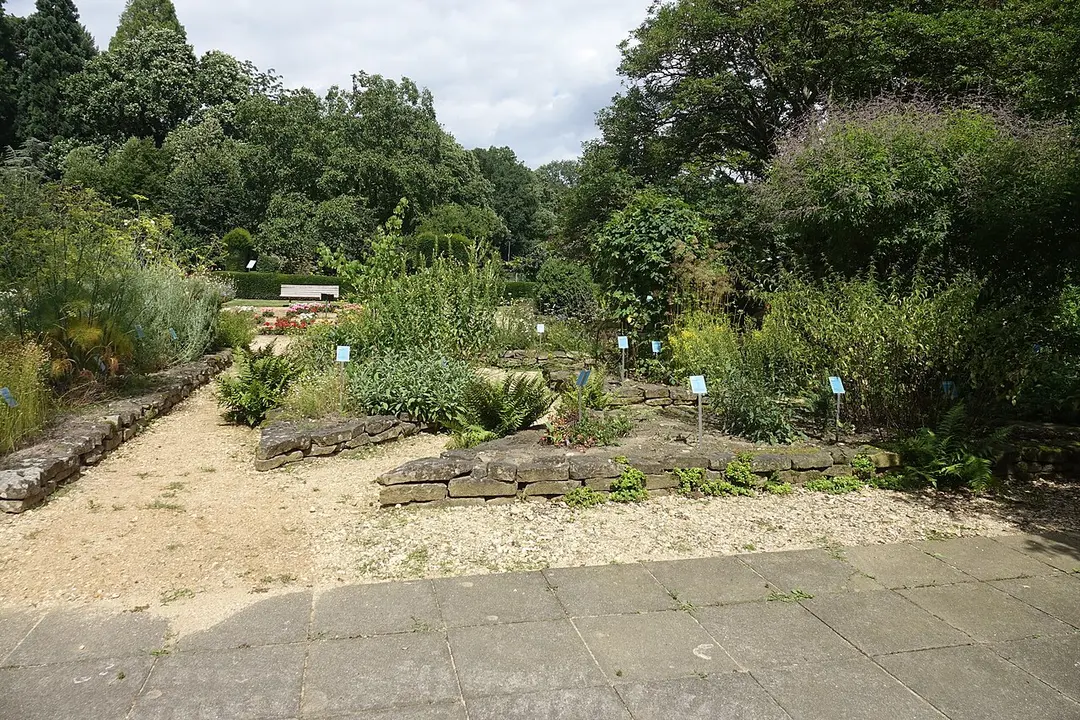 botanic garden