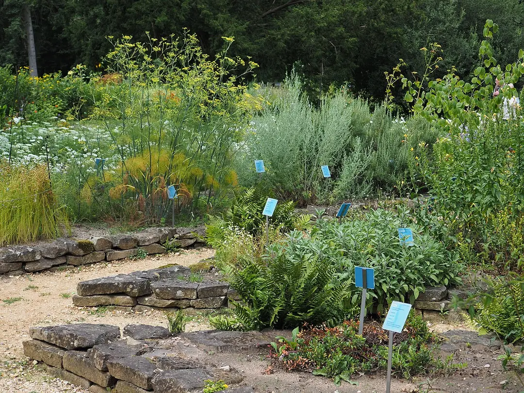 botanic garden