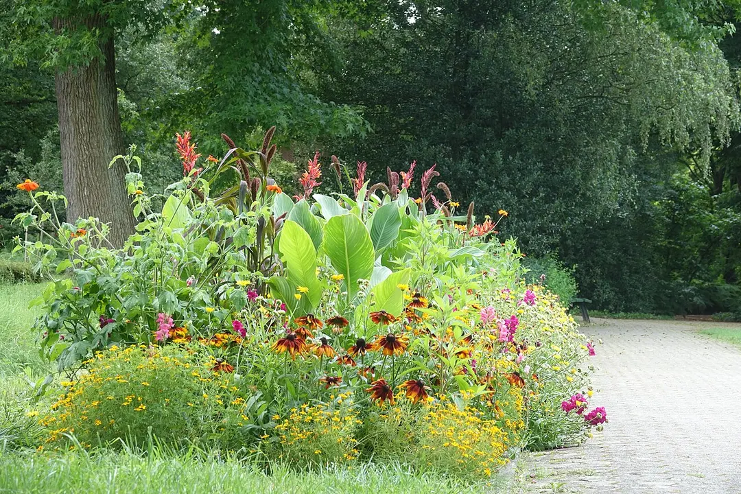 botanic garden