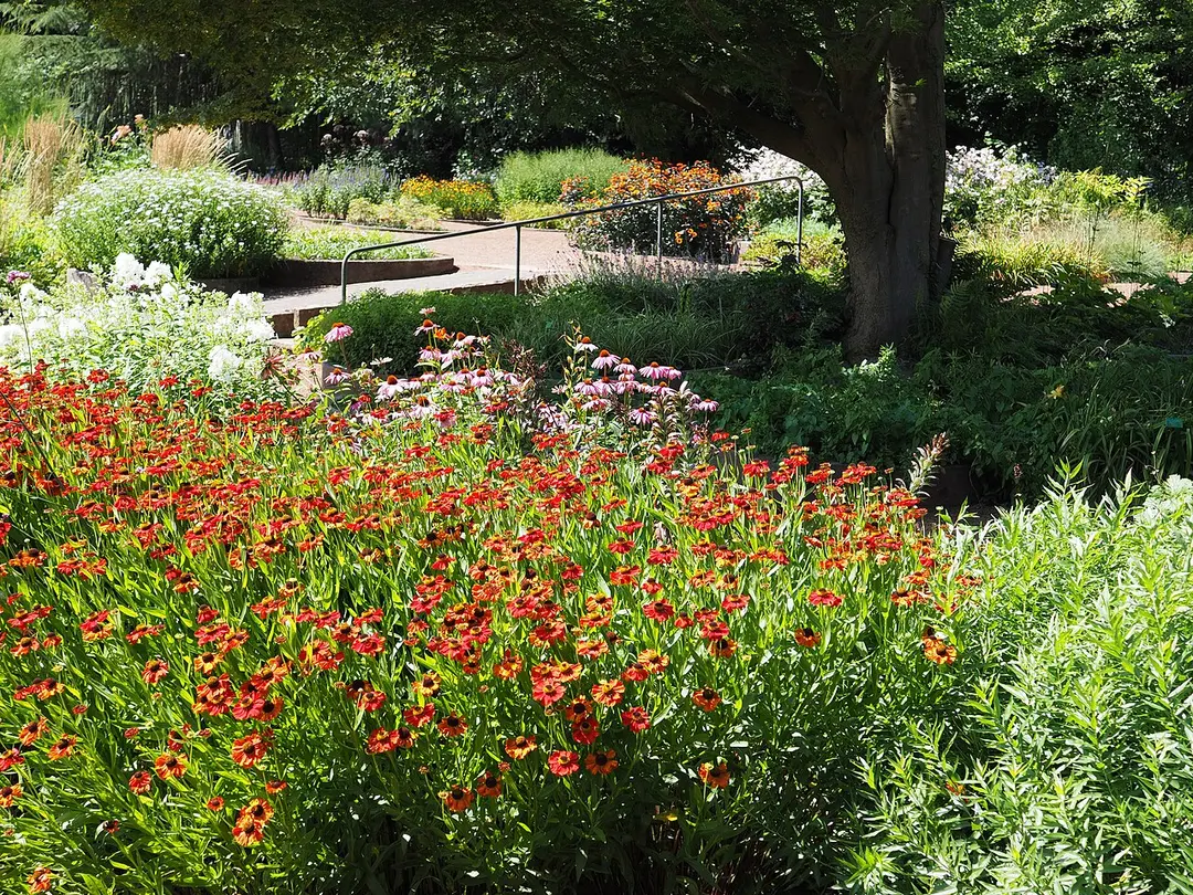 botanic garden