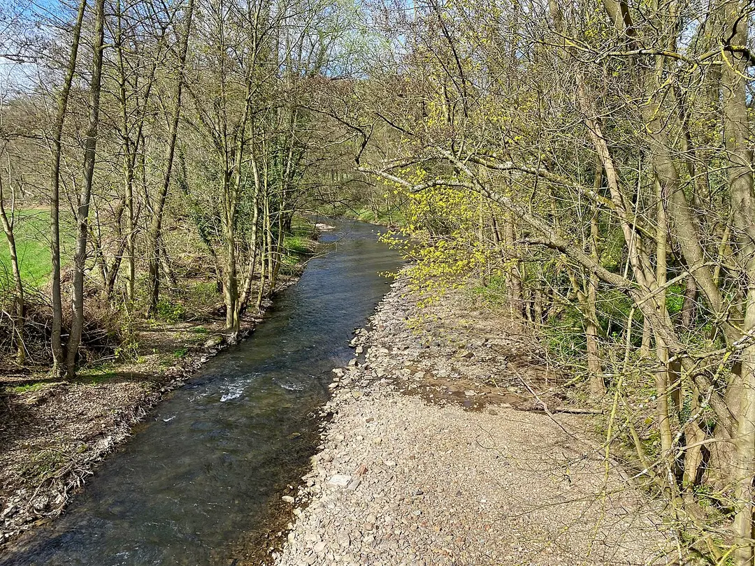 Dhünnaue