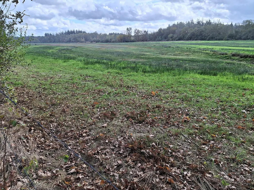 Rovertsche Heide
