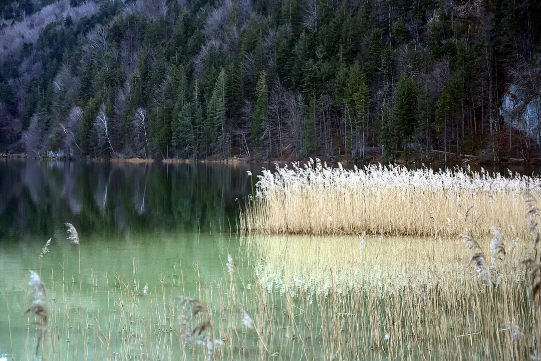 Weißensee