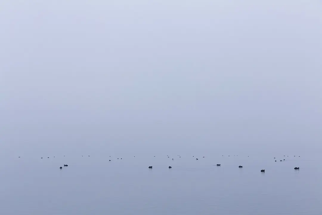 Cospudener See