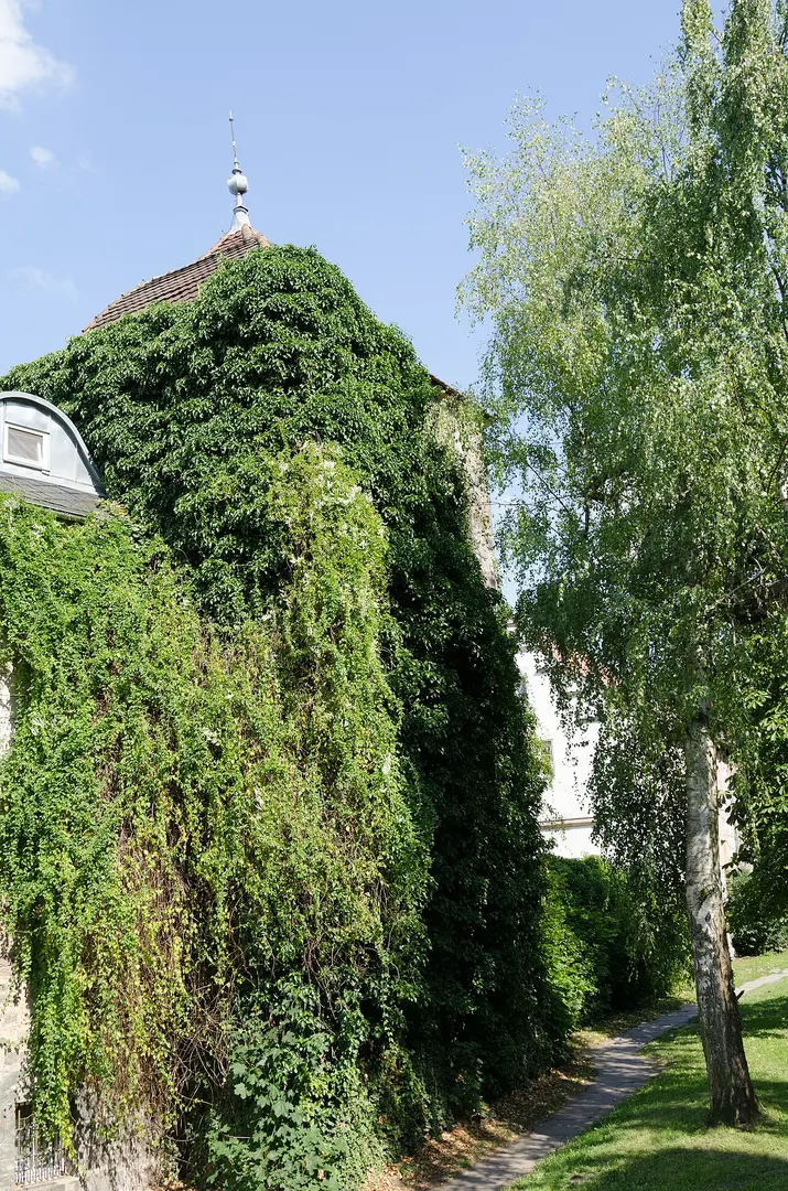 Turm