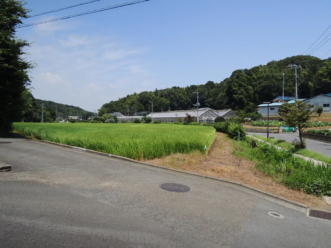 舞岡公園