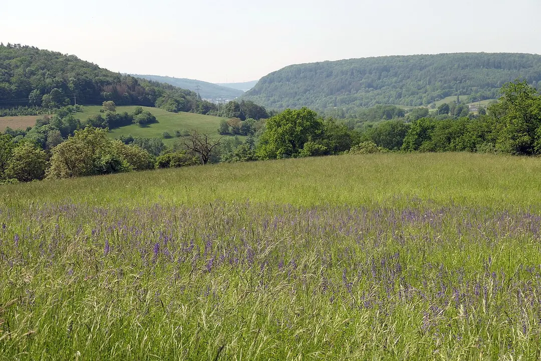 Landschaft um den Heppenstein