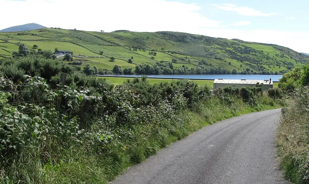 Lough Island Reavy