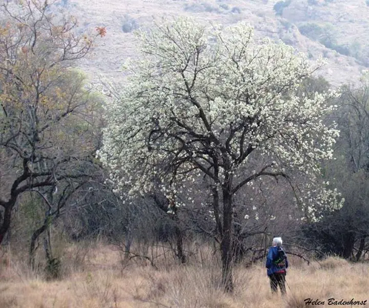 Kgaswane Mountain Reserve