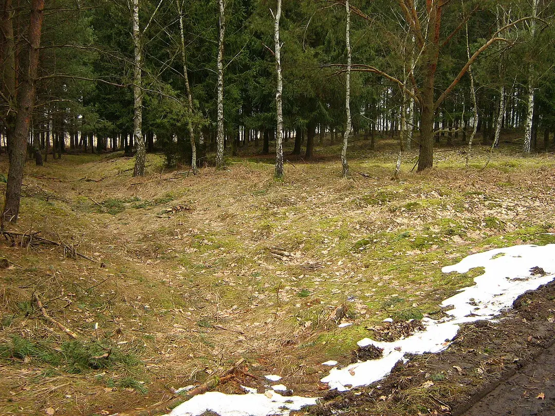 Burgwall Hühnerwinkel