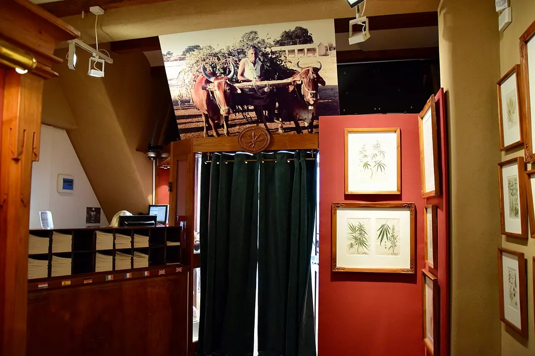 Hash Marihuana & Hemp Museum