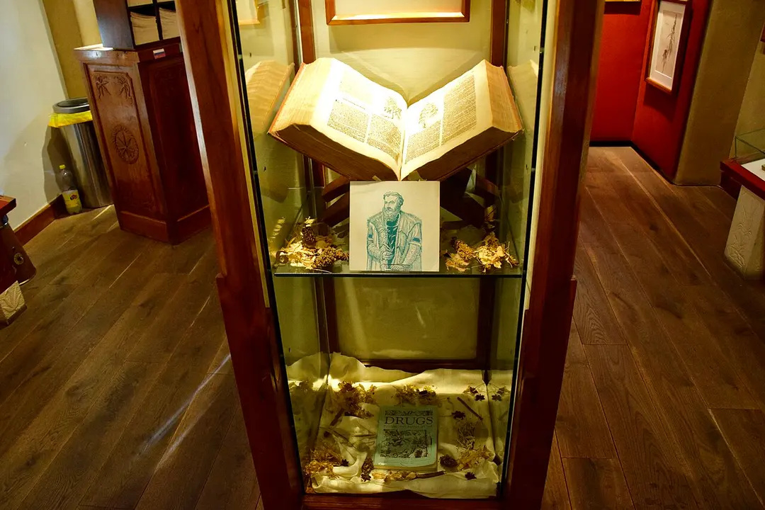 Hash Marihuana & Hemp Museum