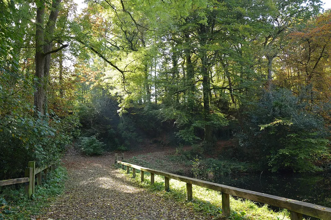Bois de Keroual