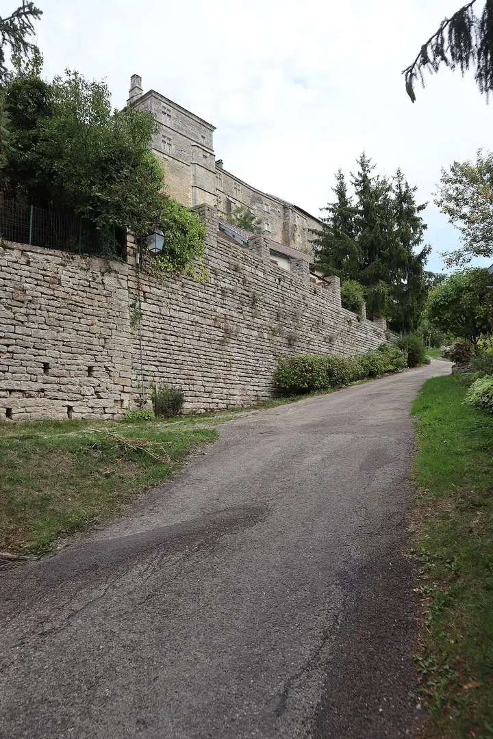 Château de Salmaise