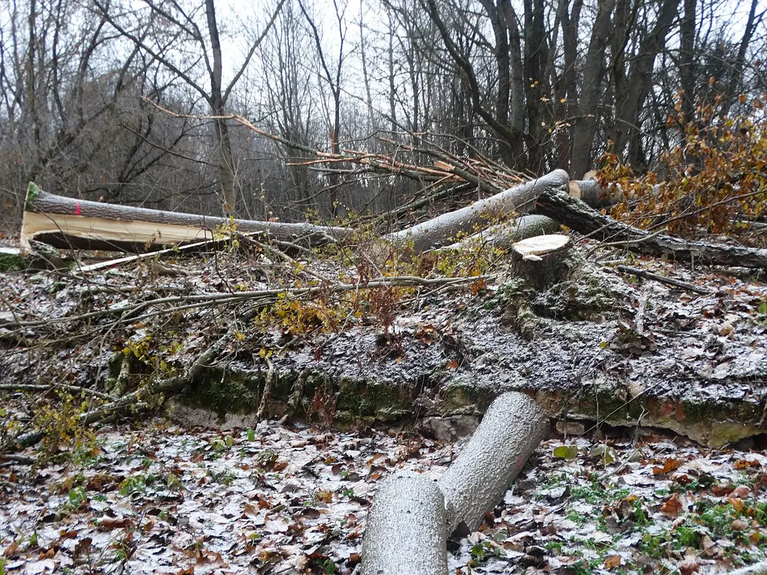Skarulių dvarvietė