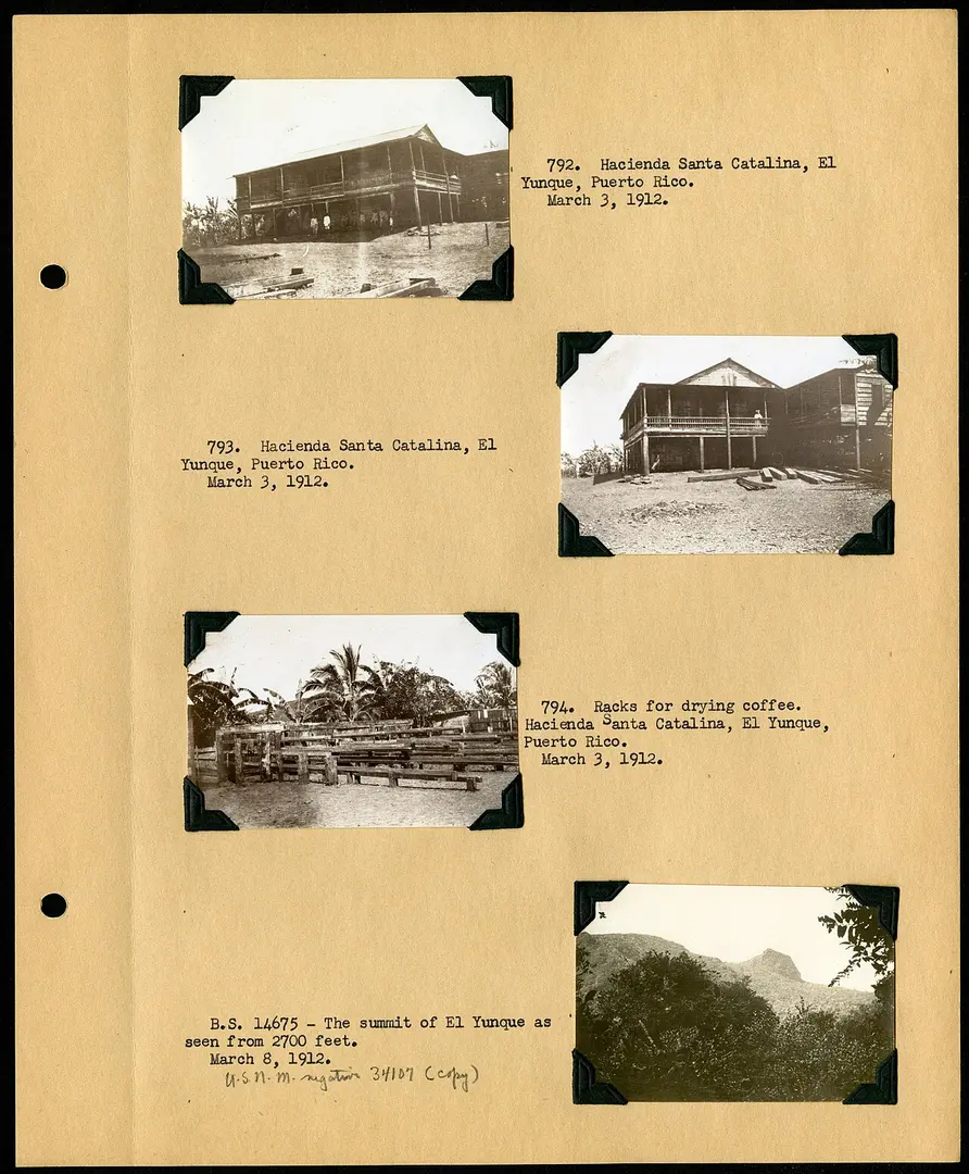 El Yunque