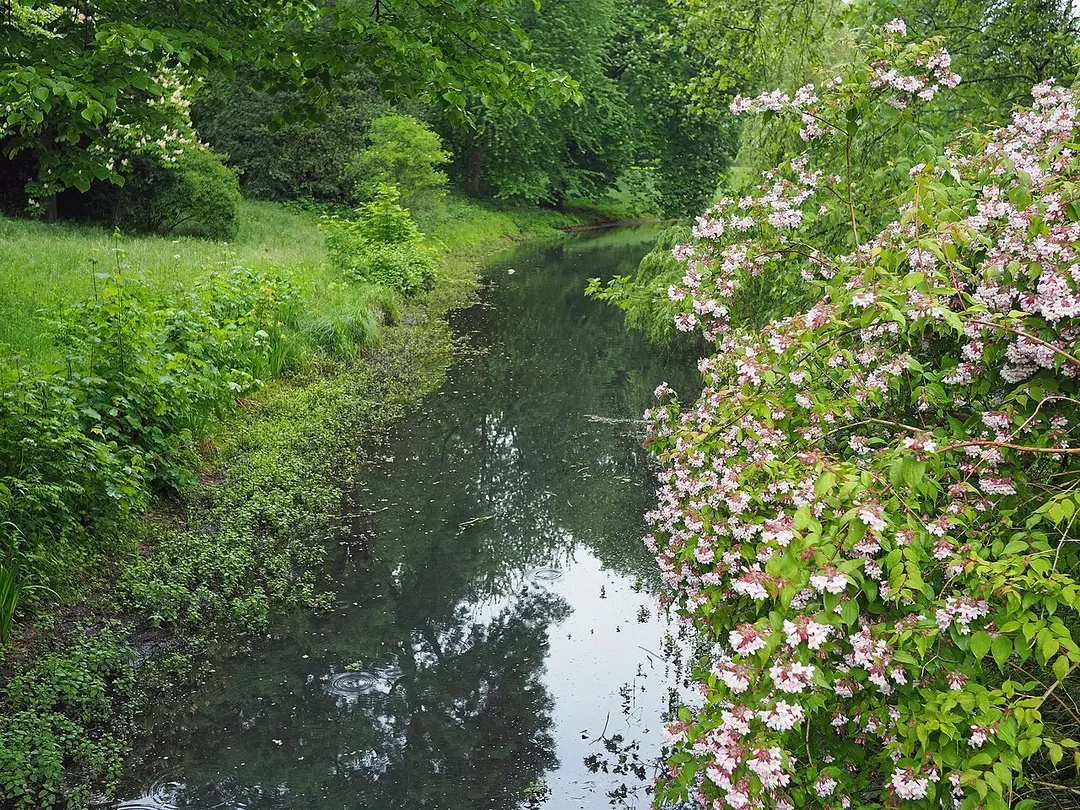 Greiffenhorstpark