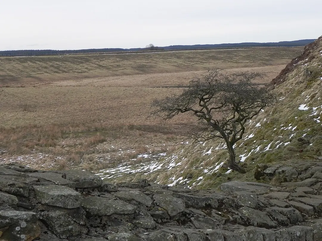 Crag Lough