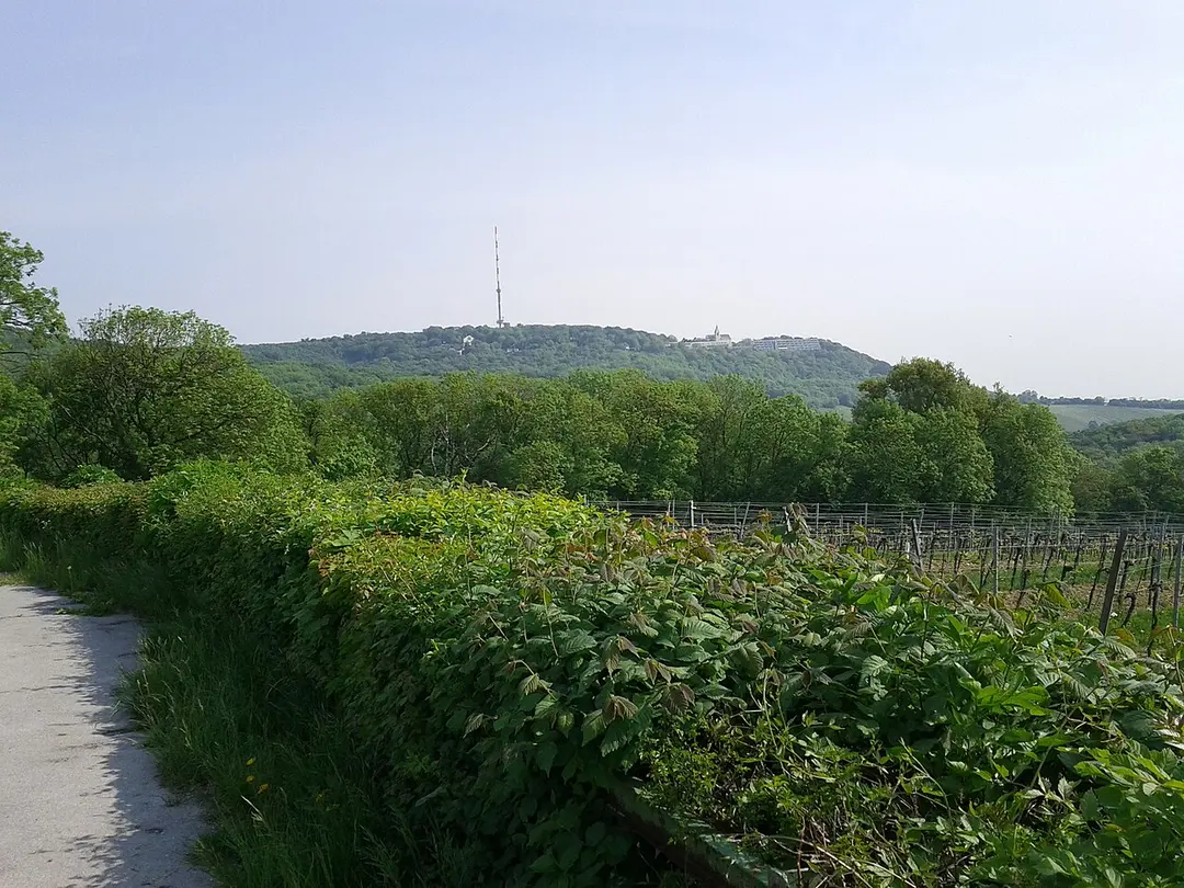 Reisenberg