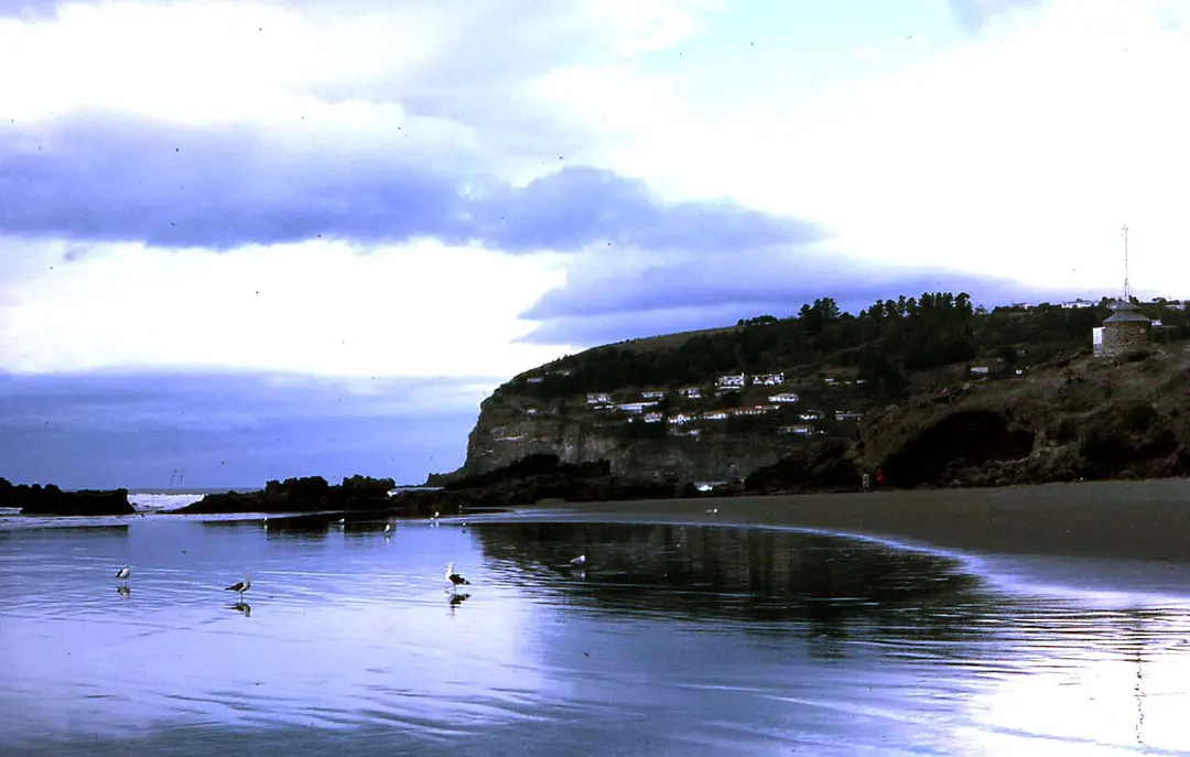 Sumner Head