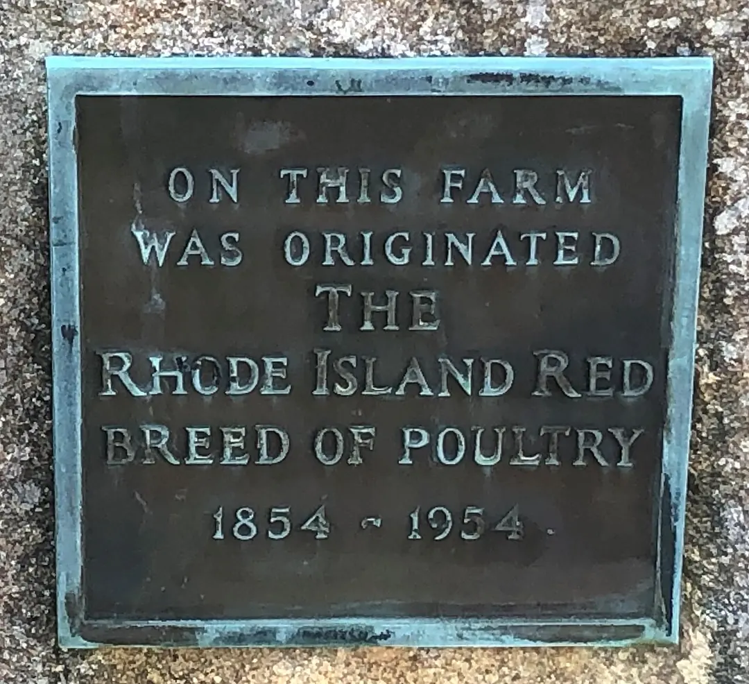 Rhode Island Red Monument