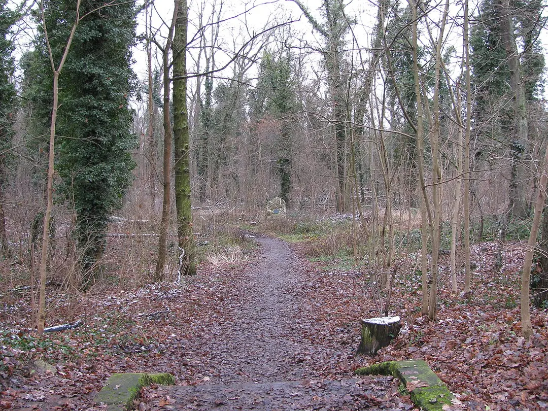 Kullmannstein