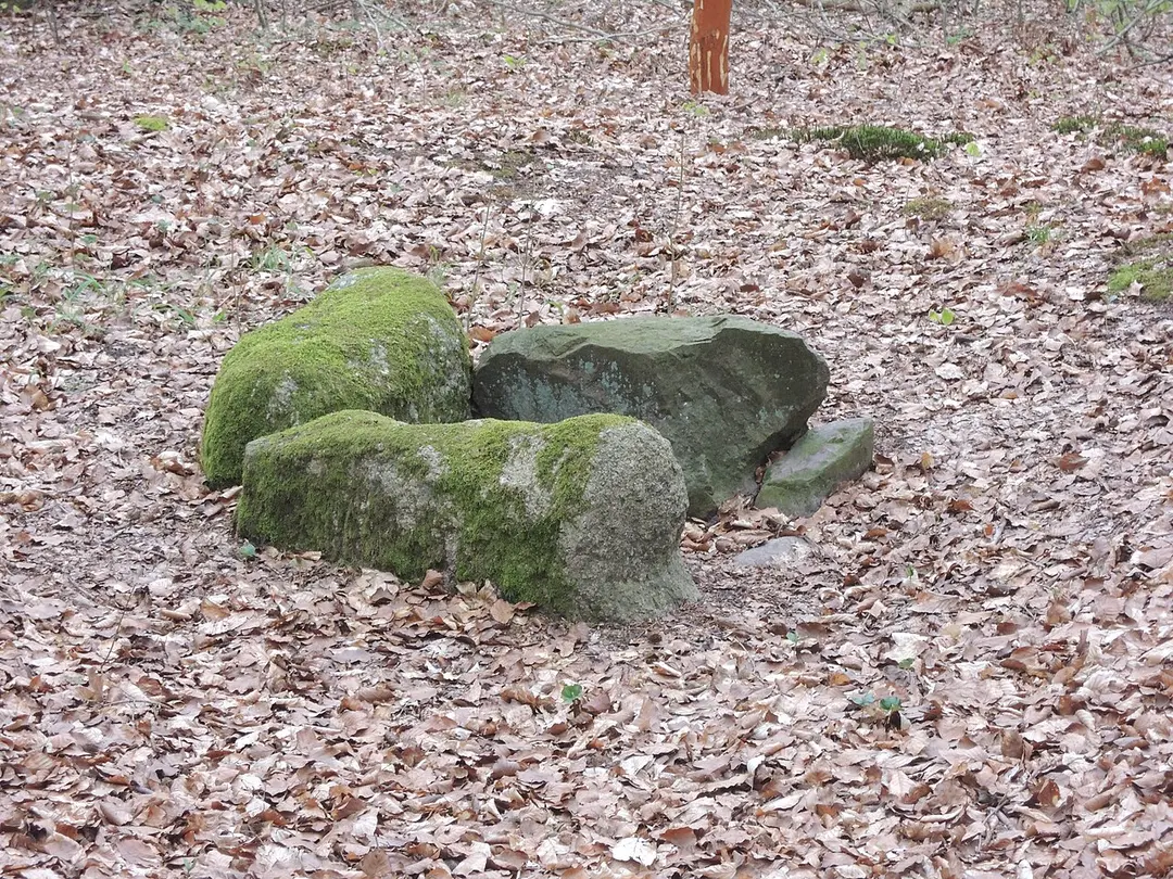 Steinkiste Hohes Holz