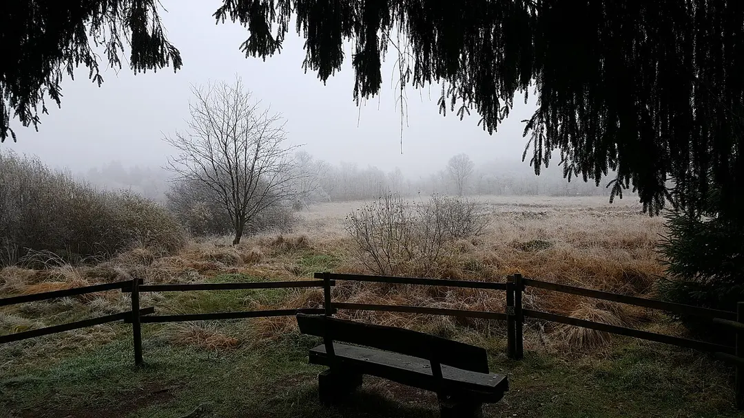 In der Breungeshainer Heide