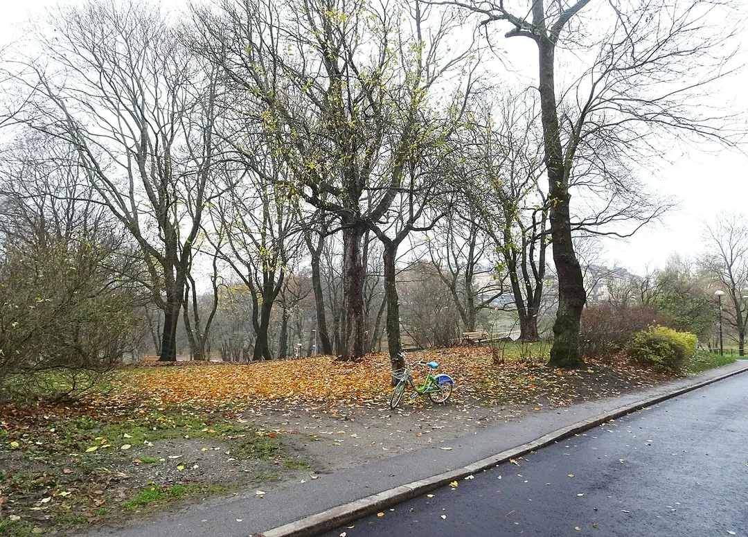 Tora Dahls Park