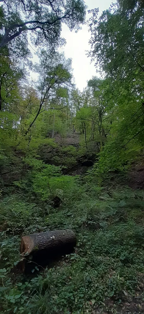Vergessene Burg
