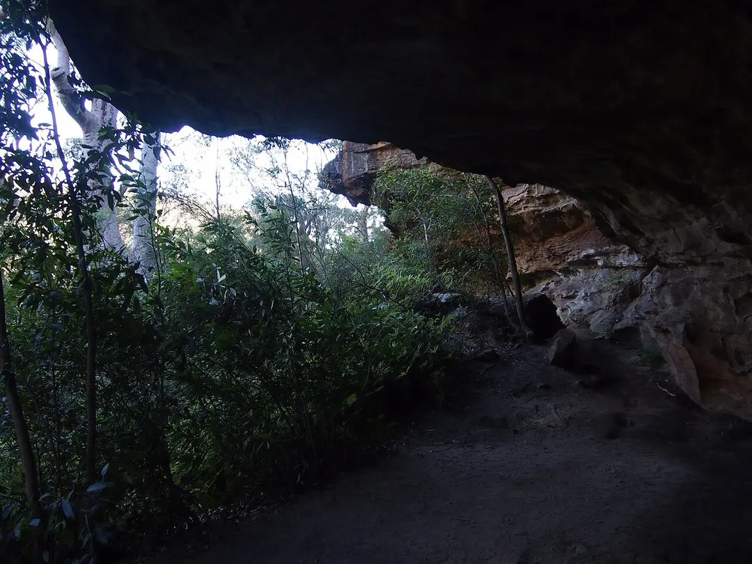 Berowra Valley National Park