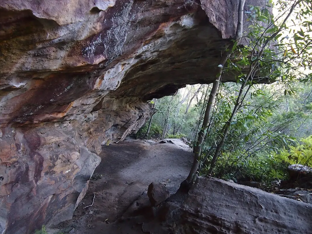 Berowra Valley National Park