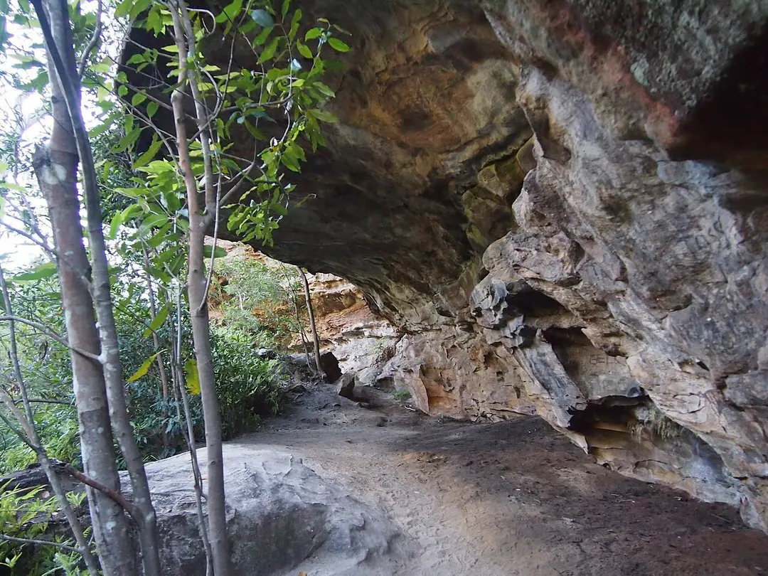 Berowra Valley National Park