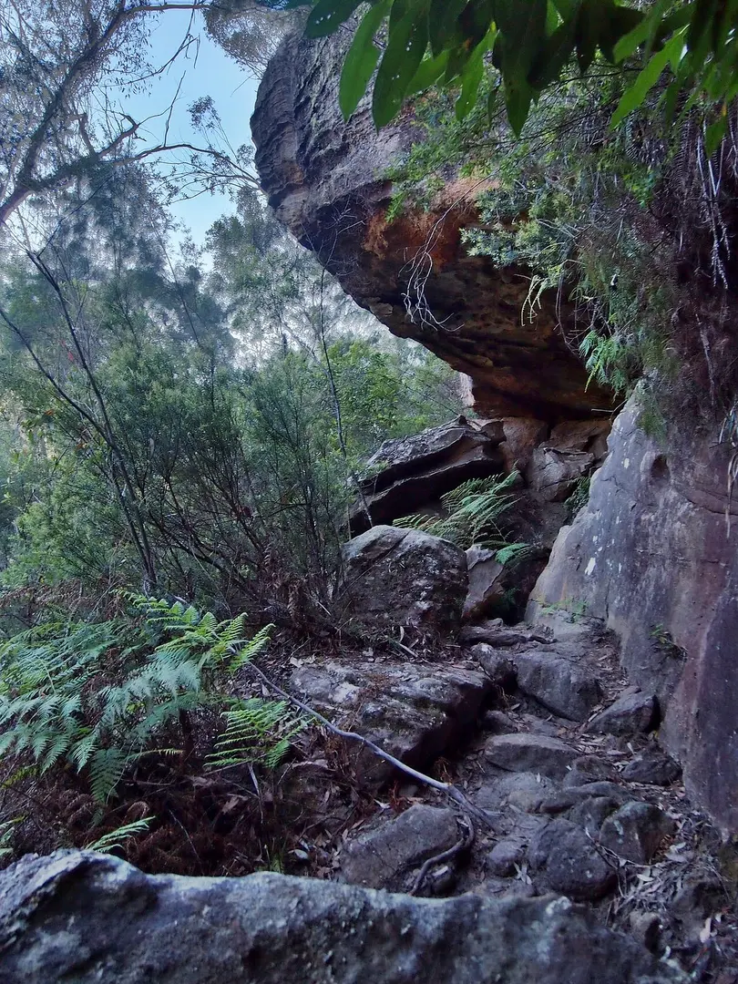 Berowra Valley National Park