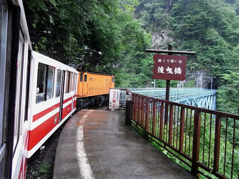 Kuronagi