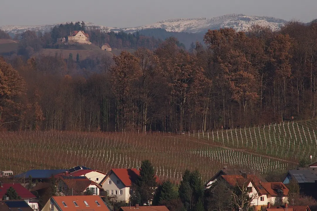 Burg Staufenberg (Schwarzwald)