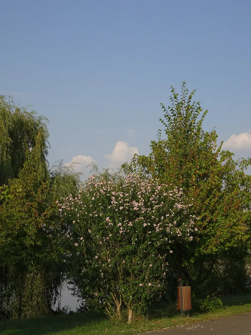 Parcul Pantelimon