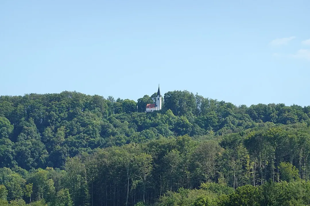 Sveti Vid