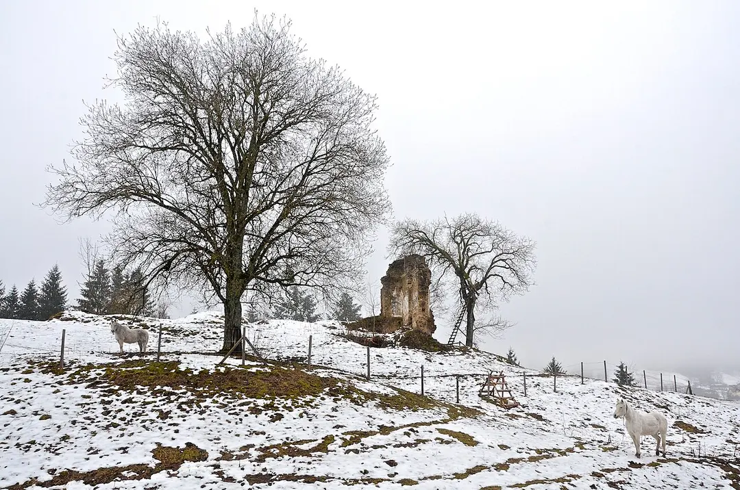 Burgruine Gillitzstein