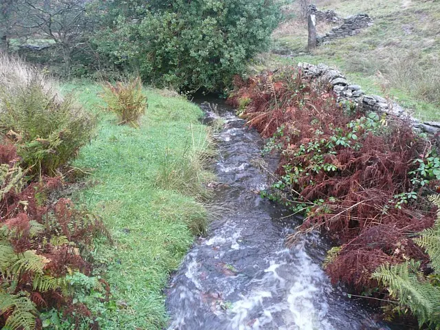 River Ribble