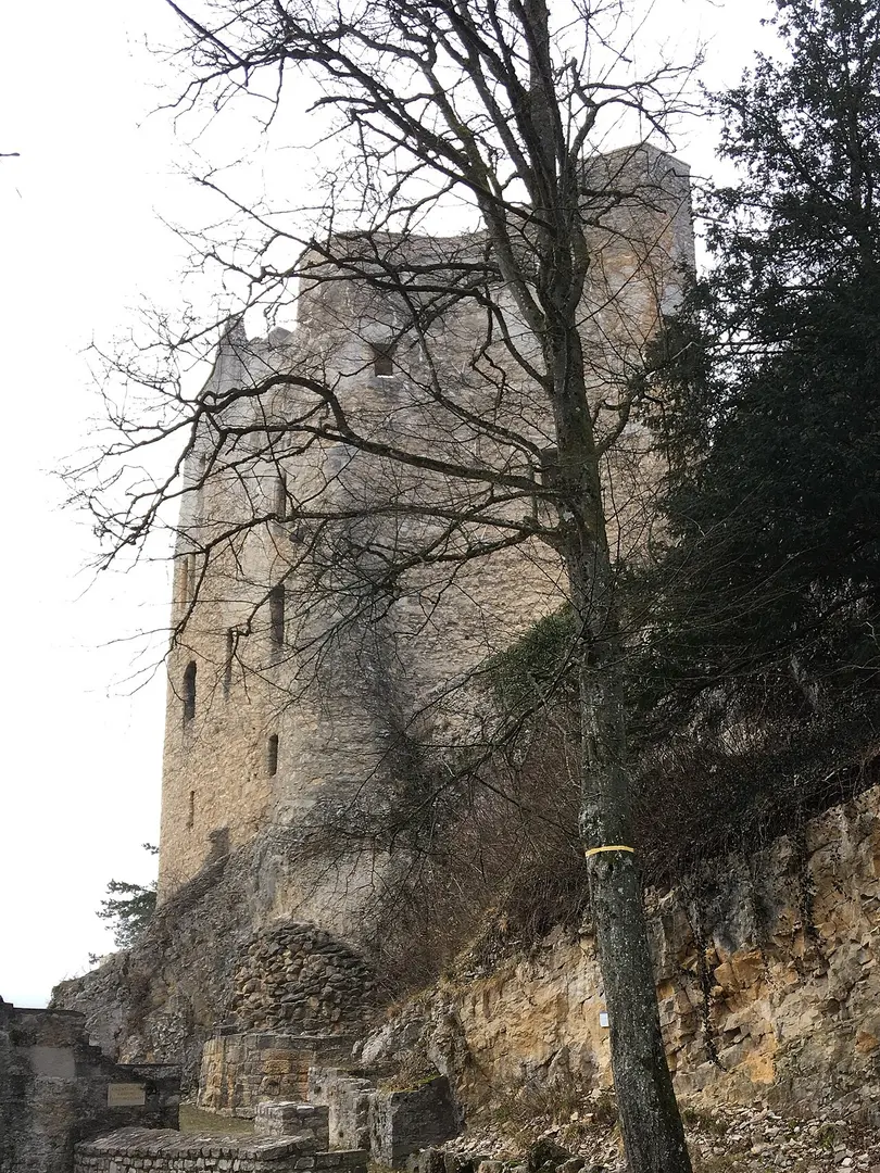 Ruine Homburg