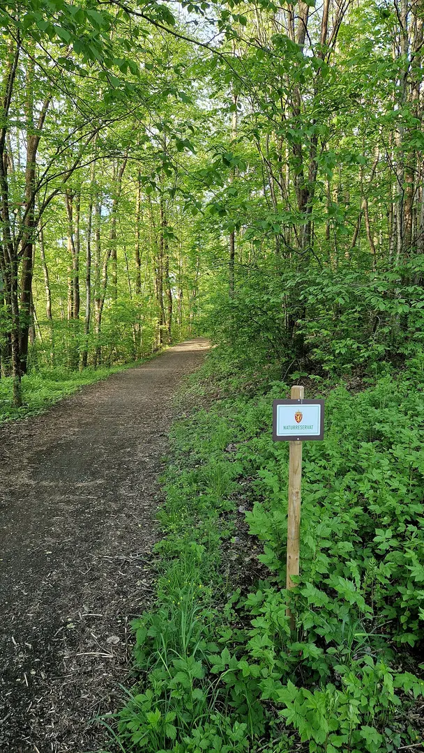 Kloppa naturreservat